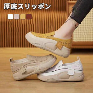[t@ lԍHw ₷ 5cm fB[X V[Y JWA tbgV[Y  [t@[  EhgD