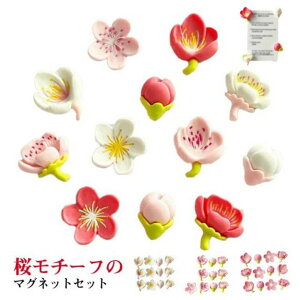 カレンダ メモ 文具 文房具 12個セット 飾り インテリア 可愛い 癒し ドア 玄関 冷蔵庫 キッチン 12個入 和風 桜 さくら 花 磁石