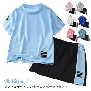 TbJ[ V[gpc WjA ㉺Zbg q ̎q j̎q ZbgAbv n[tpc TVc  X|[cEFA