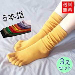 hL R ^  킢 x[VbN Vv  ~ H ΍ ₦  3Zbg nC\bNX 5{w fB[X