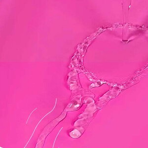 p C Y{ Sh  tC Cނ  _ kނ ނ tC fB[X `FXgnCEF[_[