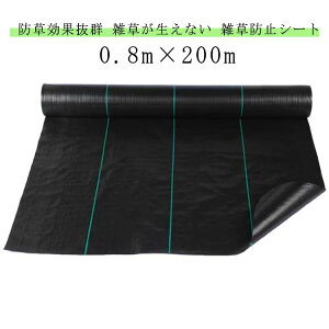 V[  悯 Gh~  V[g  sv GV[g hV[g 0.8m×200m ϋv i 