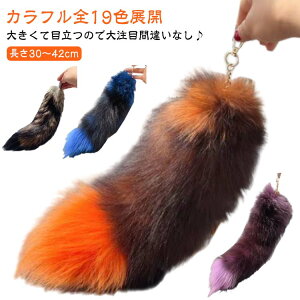 t@[ L[z_[ obO L[`[  Lcl 20F t@bV t@[Xgbv K   K  20F