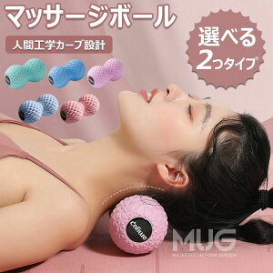 gK[ ӂ͂   ؖ[X s[ibc{[ c{ tbg[[ lԍHwJ[u݌v Xgb`{[