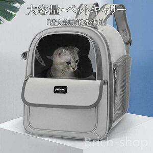 Oo AEghA ybgL[ L[obO  킢 ^ e Lp p Lp LobO