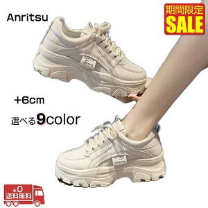 w 5cmq[ x[W tďH~ X|[c 22.5cm`26.5cm Cq[ ؍ WjA fB[X _bhXj[J[ Xj[J[