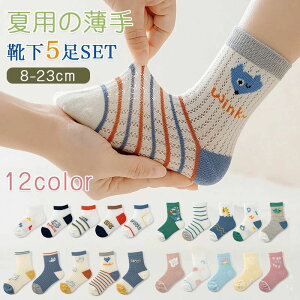 j Mtg w8`23cm xr[ ̎q j̎q LbY \bNX 5Zbg V[g C q  tėp qC LbY