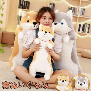 G xbh q  v[g rbO 킢   ʂ Ck     100cm 80cm 60cm S2