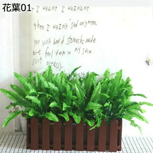 C {  VNt[ u[P ԑ A lHϗtA ͂Ȃ vX`bNtFX 傫TCY c