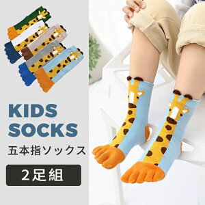 g  L 5{w WjA X|[c\bNX ̎q j̎q  V[g\bNX LbY qpܖ{w\bNX C