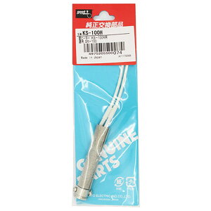 Obg փq[^[100W KS-100H