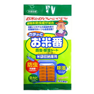 ACAO JbgĔ 48x68cm V[gyiz