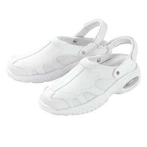 y݌Ɍz}Ak o V5 Ev zCg 22.5cmyiz