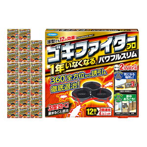 t}L[ SLt@C^[vptX 12 P[X24yiz