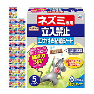 A[X lY~p֎~ GTtLSV[g P[X 5x14Zbgyiz