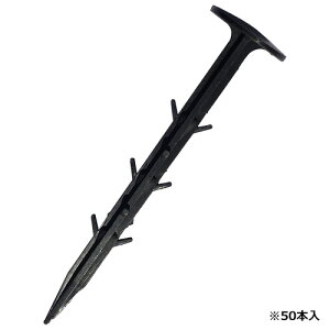 Y ZteB-3 V[g 50P 16cmyZteB[3z