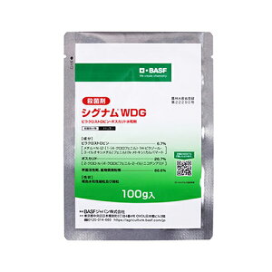 BASF VOiWDG 100g a܁yiz