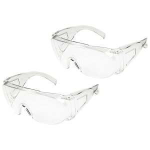 y݌ɌzY E-Value SOX EG-1 NA 2pcsyiz