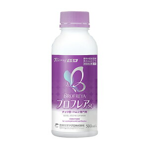 O䉻w utASC 500mlyiz