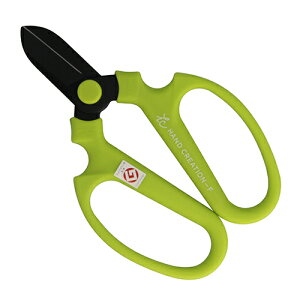 ⌹ nnhNG[VF170CO[ F170BnR CGyiz