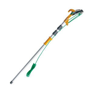 TV [v}؃Lb`NJr No.345