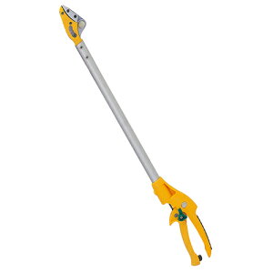 TV X}[gJbg62cm No367