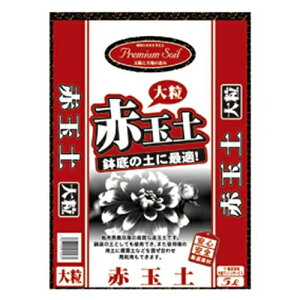 y݌ɌzGS v~A\Cԋʓy 嗱 5Lyiz