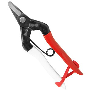 m2܂ł䂤pPΉnP ̉ n NO.301 {