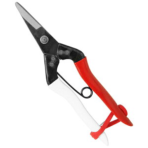 m2܂ł䂤pPΉnP E 180mm NO.307 {