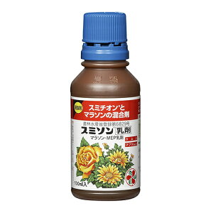 ZFw| X~\ 100mlyiz
