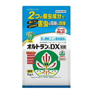 ZFw| IgDX 1kgyiz
