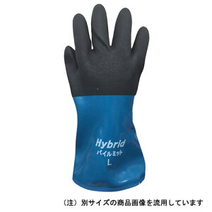 y݌Ɍz~G[u nCubhpC~bg Myiz