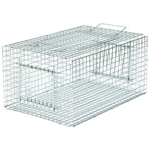 �h�q���Y �o�[�h�g���b�vRF type E-01