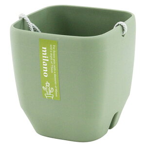 AbvEFA[ gbsOPOT3p I[uO[