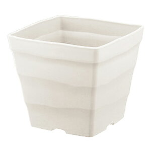 AbvEFA[ NtgXNGA 25K^ zCg