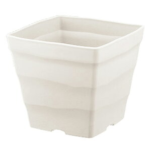 AbvEFA[ NtgXNGA 30K^ zCg