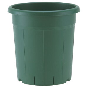 AbvEFA[ o12O[ 12SE O[