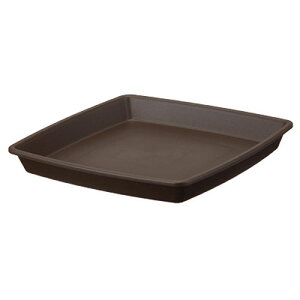 AbvEFA[ NtgXNGAv[g 25K^ DuE