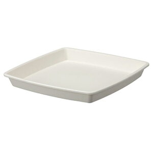 AbvEFA[ NtgXNGAv[g 30K^ zCg