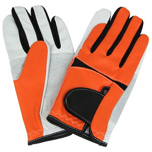 m1܂ł䂤pPΉnFGC Jebg IW QT-103 L