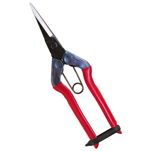 m2܂ł䂤pPΉn`J}T  T-551