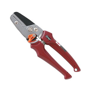 m2܂ł䂤pPΉnT{e (؂) EX-5