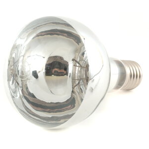 �V���� ������֋� 110V 300W