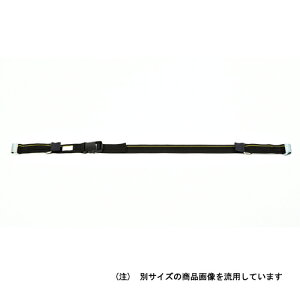 JSH �I�K�[�h J2PJ-M21