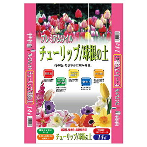 y݌ɌzGS `[bv/̓y 14Lyiz