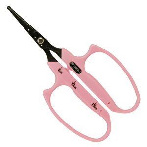 m2܂ł䂤pPΉnT{e ԂǂۂB-6MB