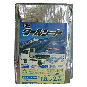 ^JCN N[V[g Vo[ B-17 1.8X2.7myiz