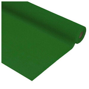 ~dV}H _C}bgAH _[NO[ (411-0255) 450mm×20M×3mmyiz