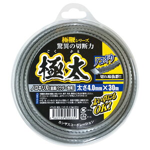 DIA-T JUXR[|[V ɑiCR[h4.0mm mRMn(pE_[ܗL) 30myiz