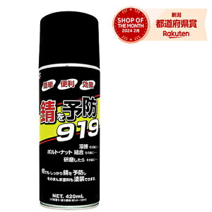 QeNmWB K\h919(NCbN) 420mL Xv[